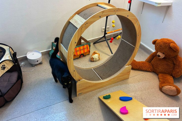 Le Chatelier  - IMG 2484