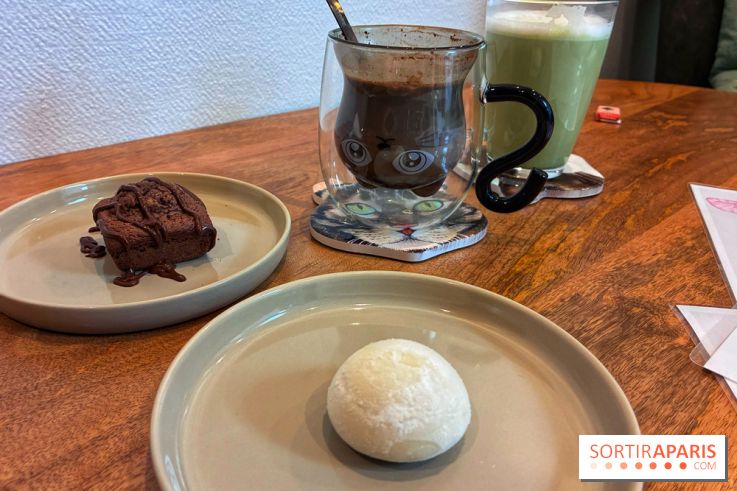 Le Chatelier  - IMG 2490