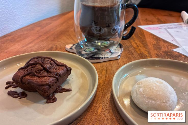 Le Chatelier  - IMG 2492