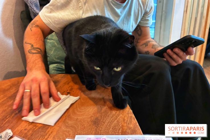 Le Chatelier  - IMG 2498