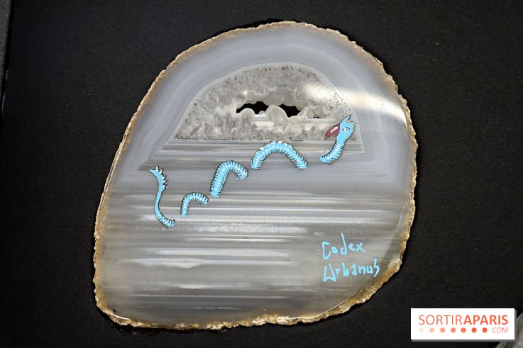 Codex on the Rocks, nos photos de l'expo au Musée de Minéralogie à Paris