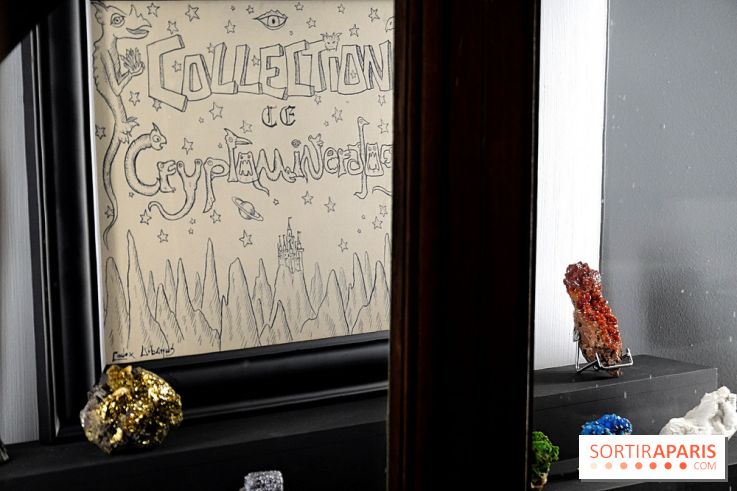 Codex on the Rocks, nos photos de l'expo au Musée de Minéralogie à Paris