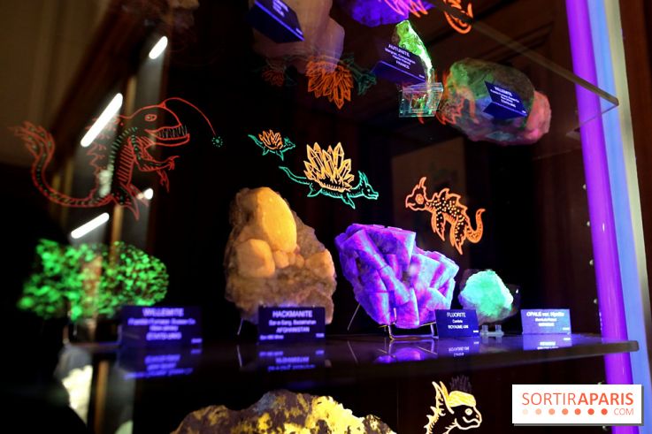 Codex on the Rocks, nos photos de l'expo au Musée de Minéralogie à Paris