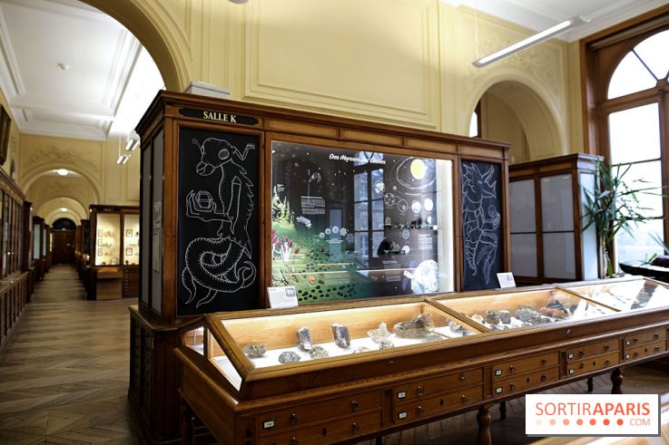 Codex on the Rocks, nos photos de l'expo au Musée de Minéralogie à Paris