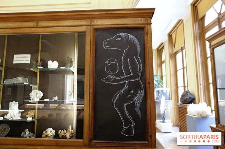 Codex on the Rocks, nos photos de l'expo au Musée de Minéralogie à Paris