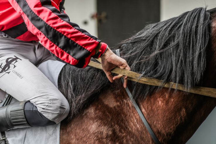 Le Carnaval de Venise s’invite à Paris le 1er février, à l’Hippodrome de Vincennes - BV 20250223165751BV  3245