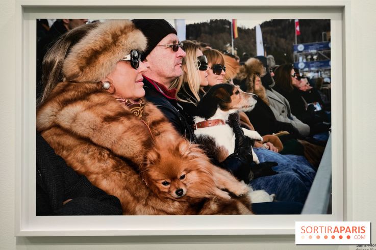 Global Warning : le photographe Martin Parr à l'honneur dans une exposition au Jeu de Paume
