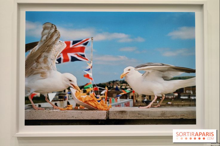 Global Warning : le photographe Martin Parr à l'honneur dans une exposition au Jeu de Paume - fotor 1769689992897