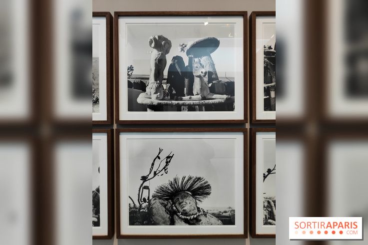 En ces lieux : la photographe contemporaine Jo Ractliffe expose au Jeu de Paume, nos images