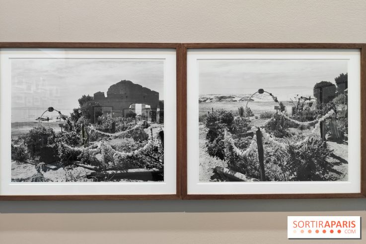 En ces lieux : la photographe contemporaine Jo Ractliffe expose au Jeu de Paume, nos images - fotor 1769690202910