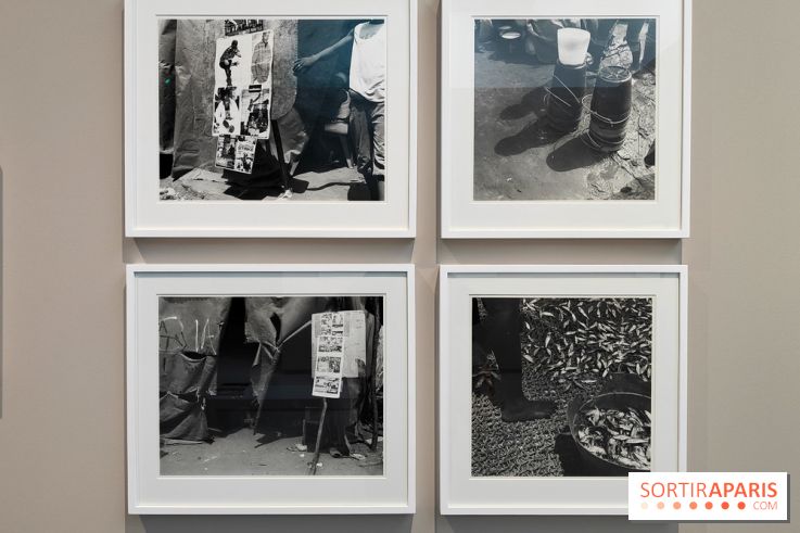 En ces lieux : la photographe contemporaine Jo Ractliffe expose au Jeu de Paume, nos images