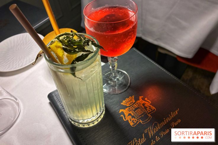 Le Céladon - IMG 2678