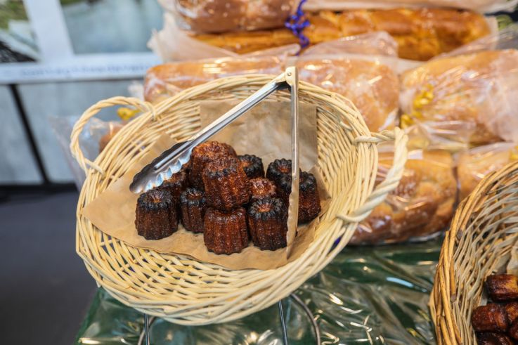 Carnavals de France à l’Hippodrome Paris-Vincennes : défilés, courses et Miss France 2026 - BVdV BV1 3506