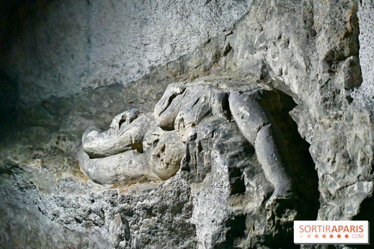 Les Caves du Roi, les mystérieux souterrains sous Sèvres - DSC 6223