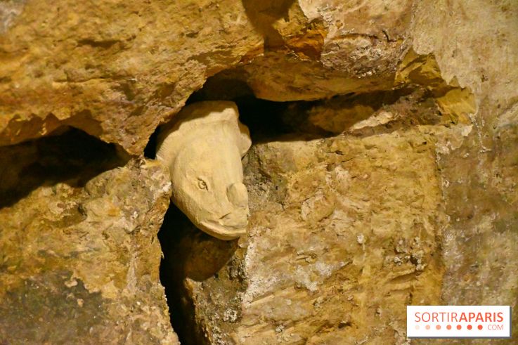 Les Caves du Roi, les mystérieux souterrains sous Sèvres - DSC 6266
