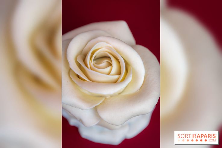 Saint-Valentin 2026 : la boulangerie - chocolaterie Pleincœur célèbre le mois de l'amour - A7C06050