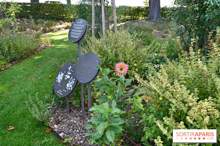 Le jardin des cinq sens à Pontoise, un lieu bucolique et sensoriel !
