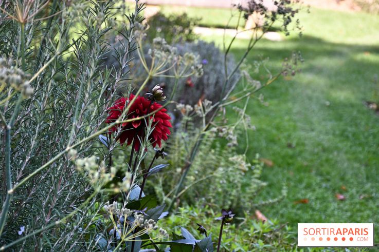 Le jardin des cinq sens à Pontoise, un lieu bucolique et sensoriel ! - DSC 5104