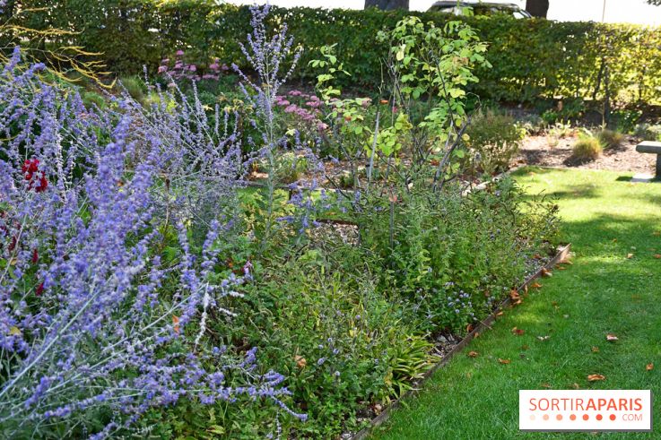 Le jardin des cinq sens à Pontoise, un lieu bucolique et sensoriel !