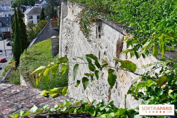 Le jardin des cinq sens à Pontoise, un lieu bucolique et sensoriel ! - DSC 5127
