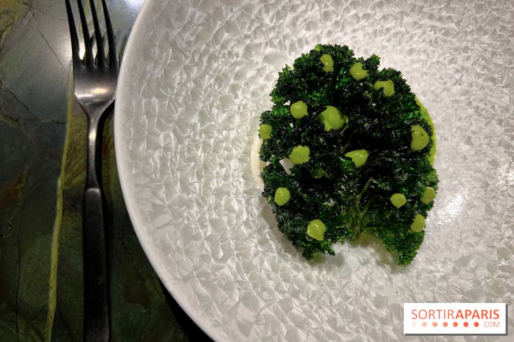 Mantra - Chou rave, kale, coco fermentée, crevettes