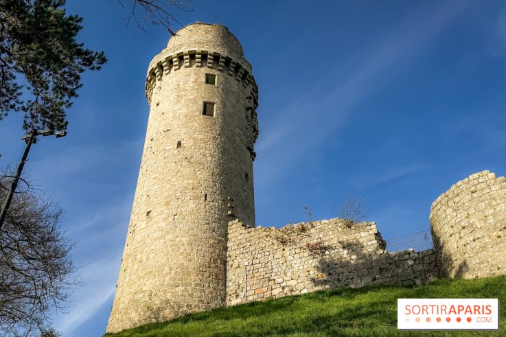 Ile-de-France : La Tour de Montlhéry au panorama unique sur l'Essonne - IMG 0592