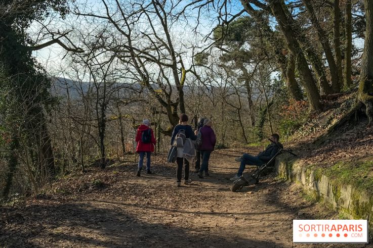 Ile-de-France : La Tour de Montlhéry au panorama unique sur l'Essonne - IMG 0591