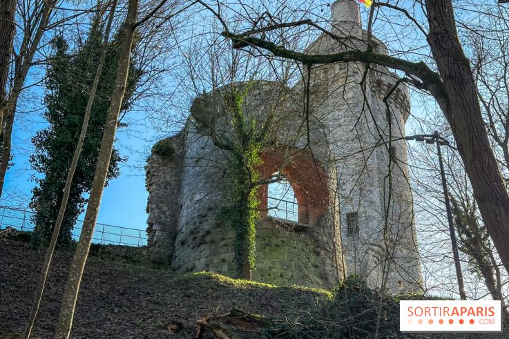 Ile-de-France : La Tour de Montlhéry au panorama unique sur l'Essonne - Flow 151254 01 117