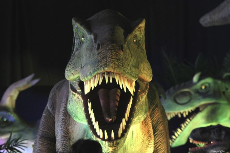 Le Monde des Dinosaures : une immersion spectaculaire avec 40 dinosaures animatroniques à Dammarie-les-Lys