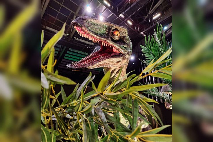 Le Monde des Dinosaures : une immersion spectaculaire avec 40 dinosaures animatroniques à Dammarie-les-Lys