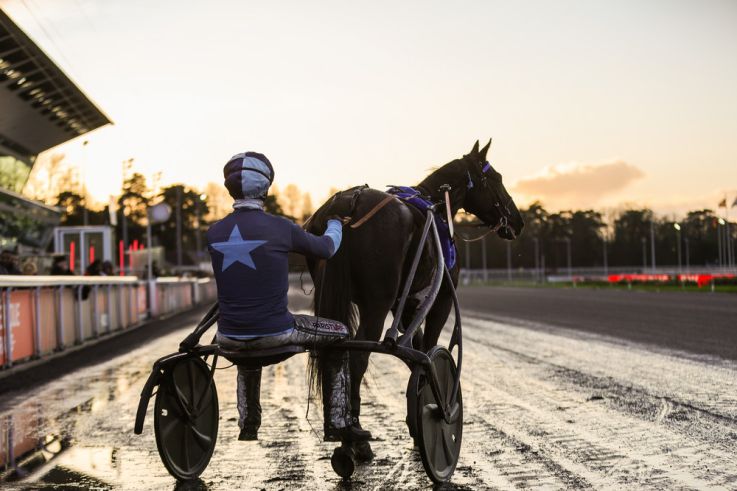 Le Carnaval de Rio de Janeiro à paris : le 15 février le Brésil s'invite à l’Hippodrome Paris-Vincennes ! - BV 20241222162429BV  4551