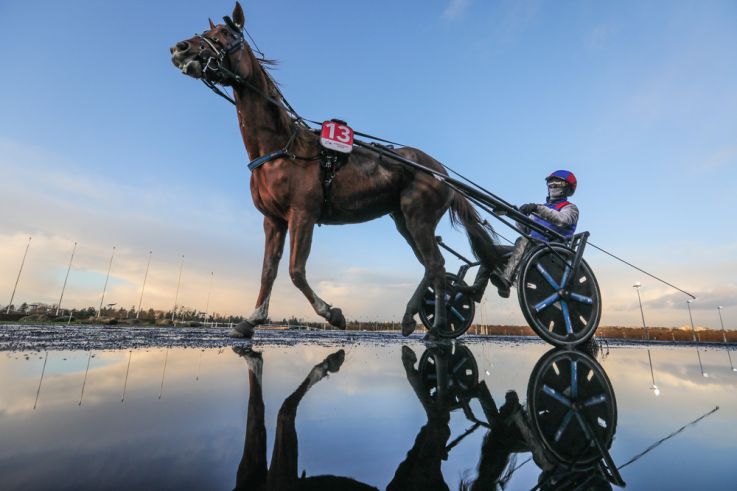 Le Carnaval de Rio de Janeiro à paris : le 15 février le Brésil s'invite à l’Hippodrome Paris-Vincennes ! - BV 20241222162611BV1 7228