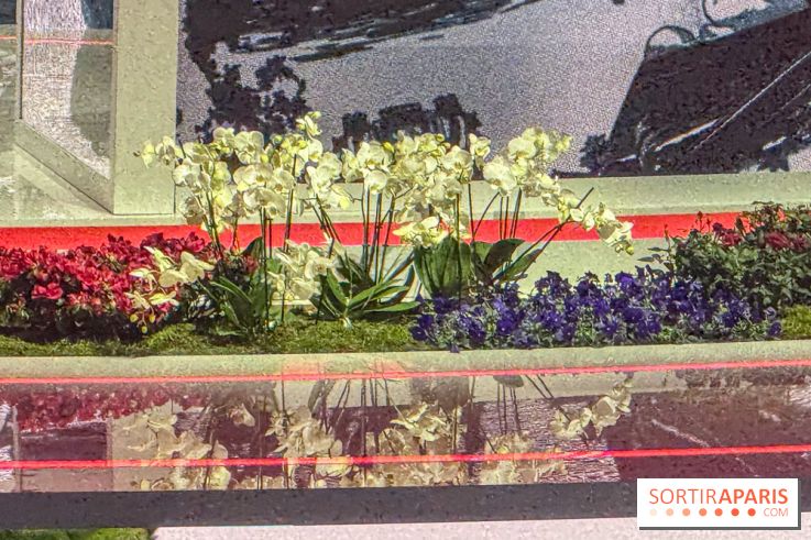 Six Invitational 2026 - IMG 3755