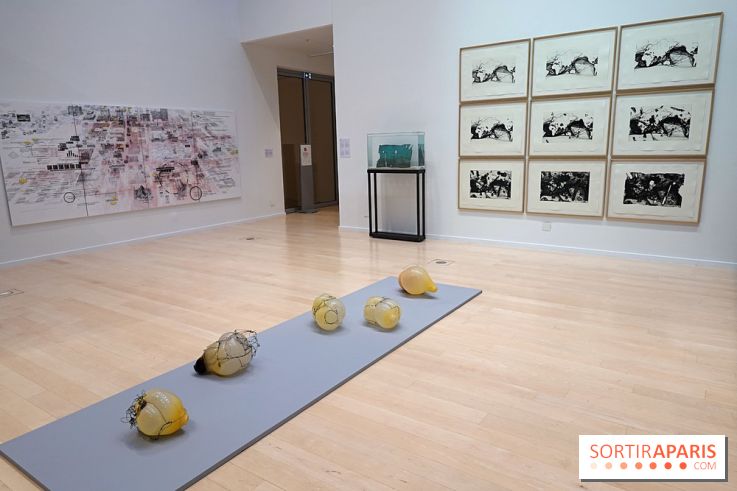 Exposition Contraste et indifférence au Centre culturel canadien - nos photos