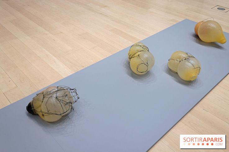 Exposition Contraste et indifférence au Centre culturel canadien - nos photos