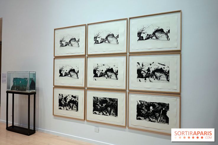 Exposition Contraste et indifférence au Centre culturel canadien - nos photos