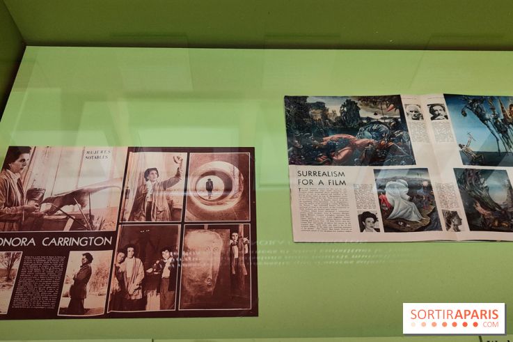Leonora Carrington, l'exposition onirique d'une artiste surréaliste au musée du Luxembourg, photos
