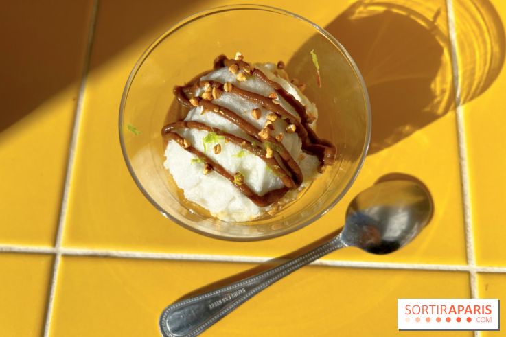 Tout Day - Ile flottante ail noir