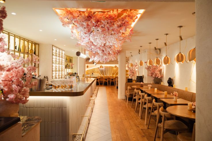 Chez Benihana Paris : une expérience culinaire teppanyaki unique, spectaculaire et festive à vivre en groupe