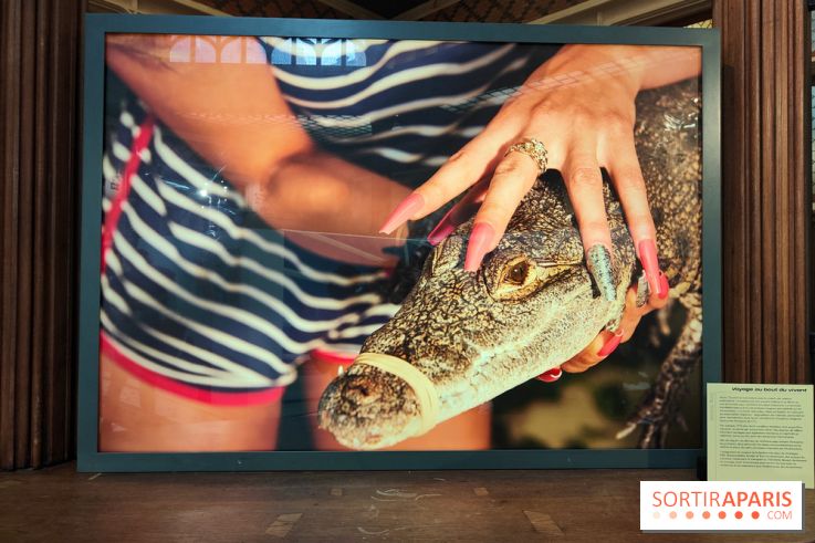 All Inclusive : la photographe Kourtney Roy interroge le tourisme dans une exposition à Citéco - fotor 1771496691011