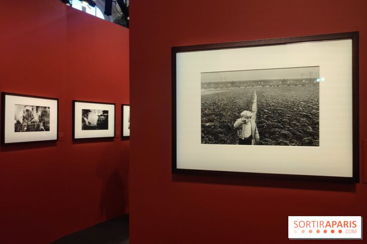 Sebastião Salgado au cœur d'une exposition de photos gratuite à l'Hôtel de Ville de Paris