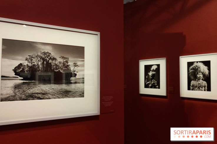 Sebastião Salgado au cœur d'une exposition de photos gratuite à l'Hôtel de Ville de Paris