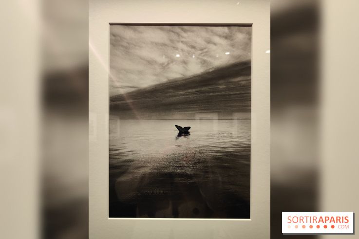 Sebastião Salgado au cœur d'une exposition de photos gratuite à l'Hôtel de Ville de Paris