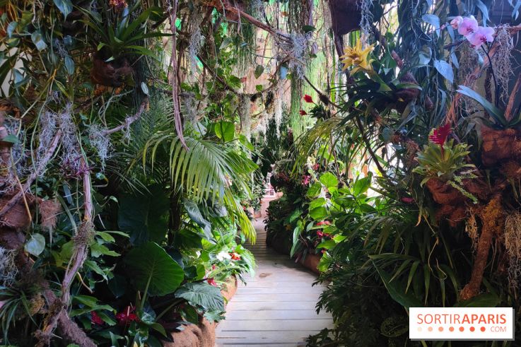 Sebastião Salgado au cœur d'une exposition de photos gratuite à l'Hôtel de Ville de Paris - fotor 1771520527216