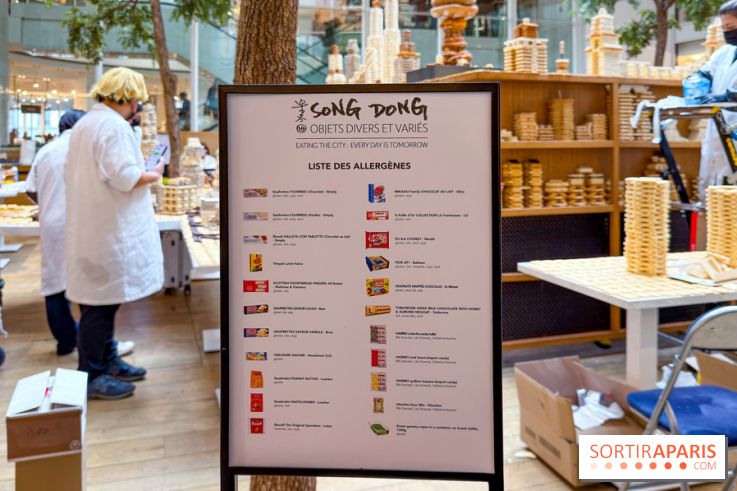 Song Dong  - IMG 4188