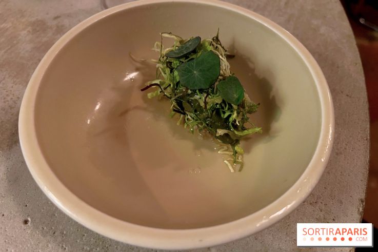 Vivide - Sorbet aux herbes 