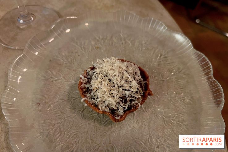 Vivide - Tout noisette