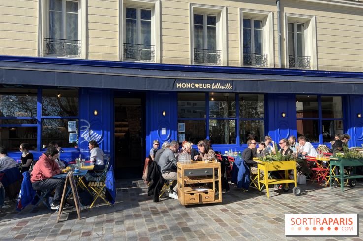 Moncœur Belleville - Terrasse vue Paris