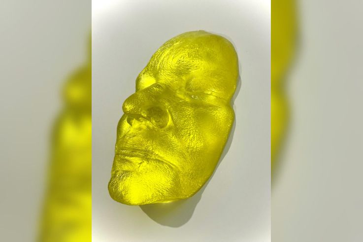 Exposition " Biegas et l’Ukraine " : une immersion artistique à la Bibliothèque Polonaise de Paris