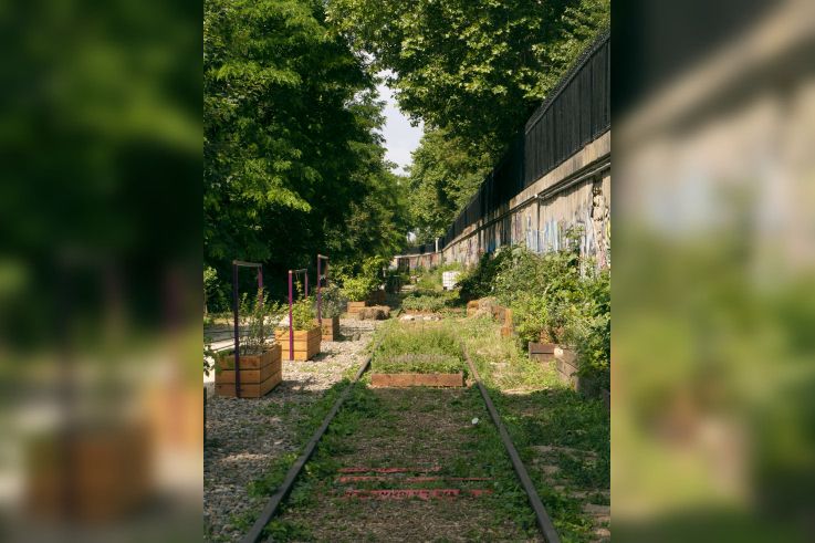 Le Jardin des Traverses rouvre ses portes le 21 mars sur la Petite Ceinture du 18e !